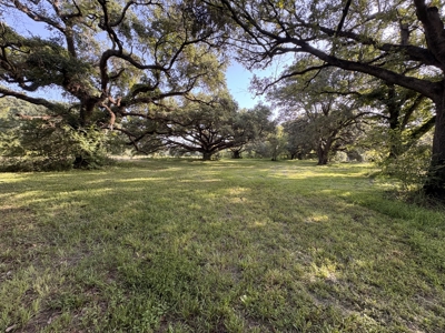 6.46 Acres of Timeless Beauty in the Heart of Lafayette - image 4