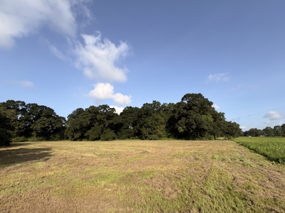 6.46 Acres of Timeless Beauty in the Heart of Lafayette - image 15