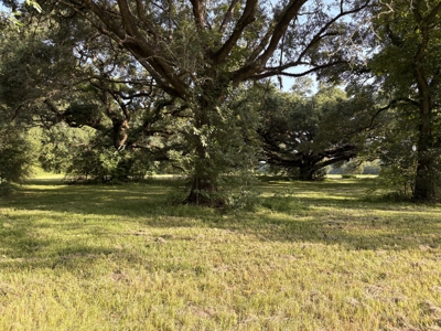 6.46 Acres of Timeless Beauty in the Heart of Lafayette - image 2