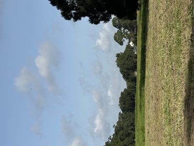 6.46 Acres of Timeless Beauty in the Heart of Lafayette - image 18