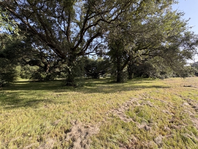 6.46 Acres of Timeless Beauty in the Heart of Lafayette - image 3
