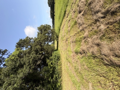 6.46 Acres of Timeless Beauty in the Heart of Lafayette - image 14