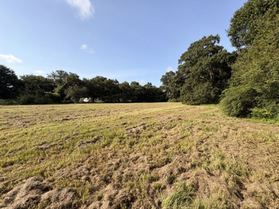 6.46 Acres of Timeless Beauty in the Heart of Lafayette - image 12