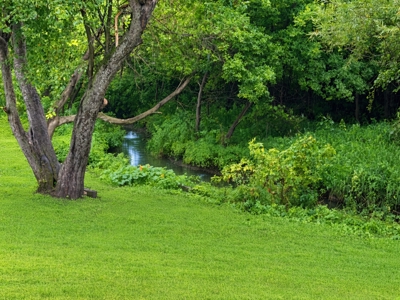 8 Acre Country Home For Sale In Kasson, MN - image 49