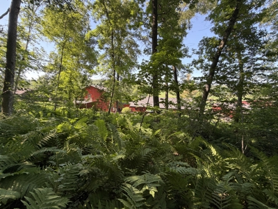 Amazing Country Home - Garage, Workshop, Apartment, on 2.29 Acres - image 34