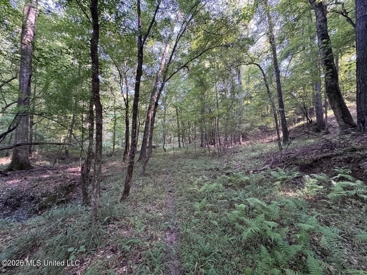 Listing 29