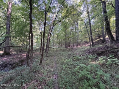 375± Acres in Jefferson County, MS Near Natchez Trace - image 34