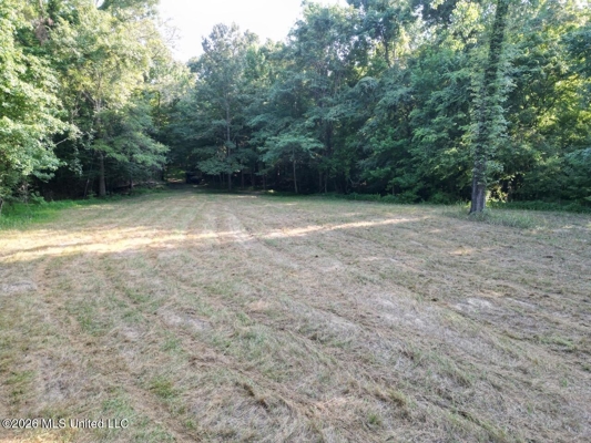 375± Acres in Jefferson County, MS Near Natchez Trace