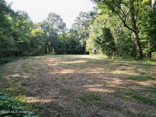 375± Acres in Jefferson County, MS Near Natchez Trace