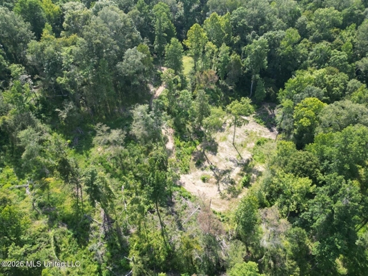 375± Acres in Jefferson County, MS Near Natchez Trace