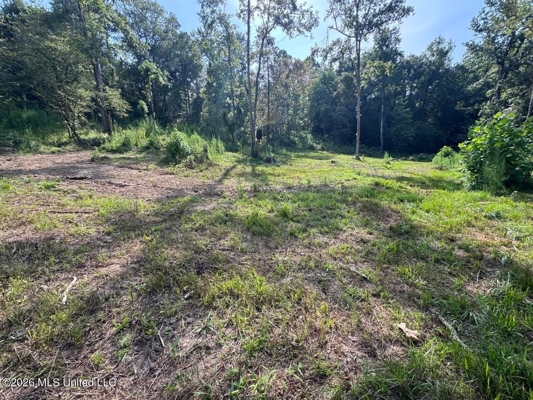 375± Acres in Jefferson County, MS Near Natchez Trace