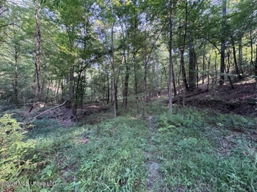 Listing 29