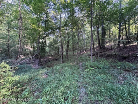 375± Acres in Jefferson County, MS Near Natchez Trace