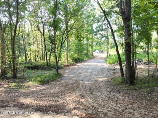 375± Acres in Jefferson County, MS Near Natchez Trace