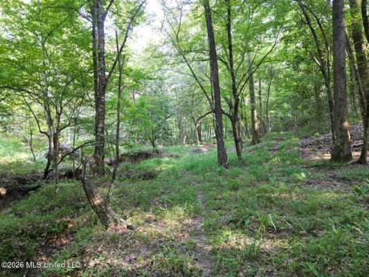 375± Acres in Jefferson County, MS Near Natchez Trace
