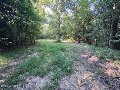 375± Acres in Jefferson County, MS Near Natchez Trace - image 38