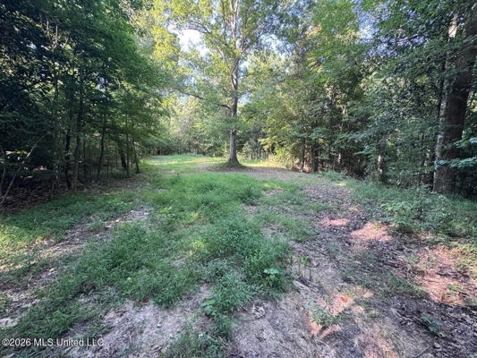 375± Acres in Jefferson County, MS Near Natchez Trace