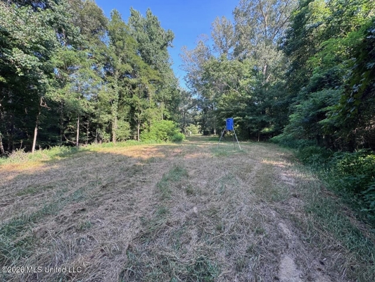 375± Acres in Jefferson County, MS Near Natchez Trace