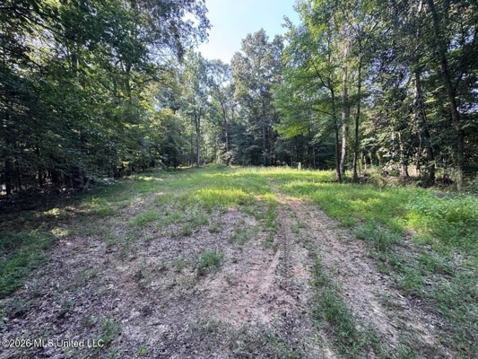 375± Acres in Jefferson County, MS Near Natchez Trace