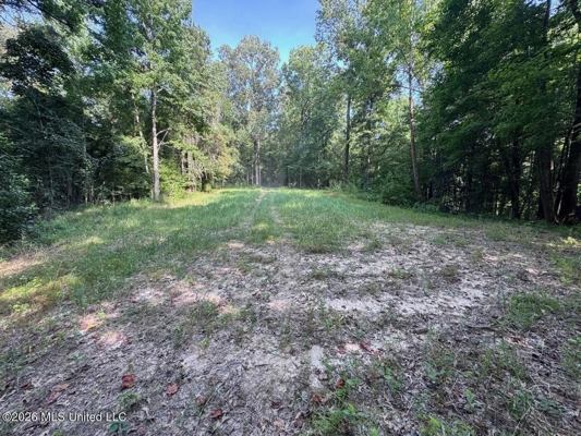 375± Acres in Jefferson County, MS Near Natchez Trace
