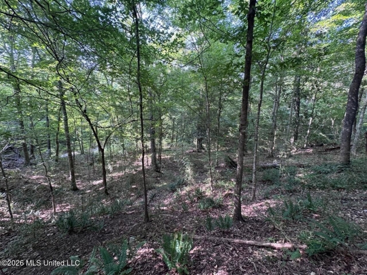 375± Acres in Jefferson County, MS Near Natchez Trace