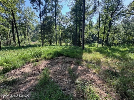 375± Acres in Jefferson County, MS Near Natchez Trace
