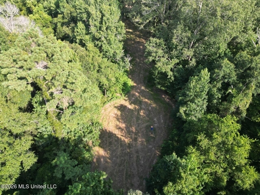 375± Acres in Jefferson County, MS Near Natchez Trace