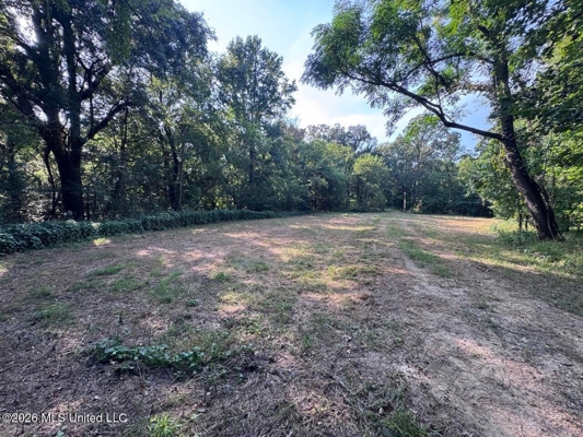 375± Acres in Jefferson County, MS Near Natchez Trace