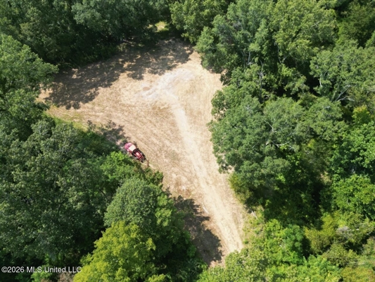 375± Acres in Jefferson County, MS Near Natchez Trace