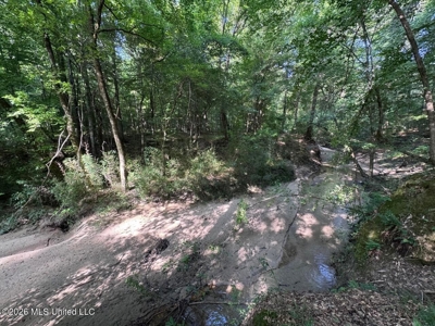 375± Acres in Jefferson County, MS Near Natchez Trace - image 32