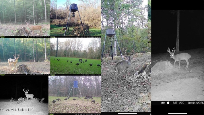 375± Acres in Jefferson County, MS Near Natchez Trace