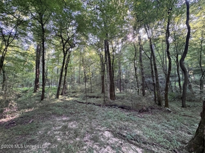375± Acres in Jefferson County, MS Near Natchez Trace - image 37