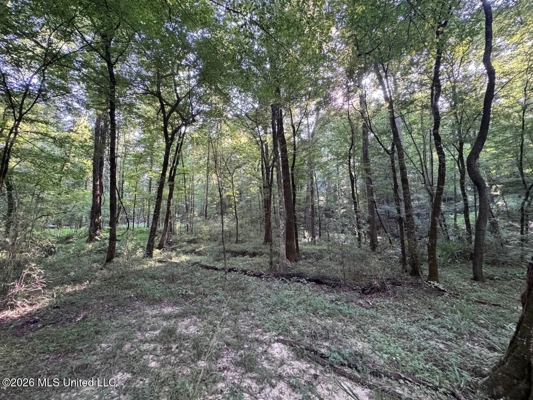 375± Acres in Jefferson County, MS Near Natchez Trace