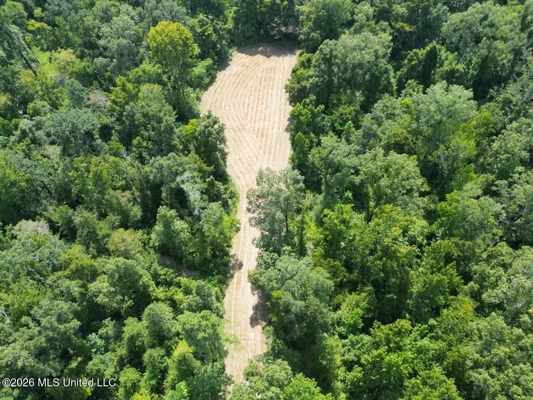 375± Acres in Jefferson County, MS Near Natchez Trace