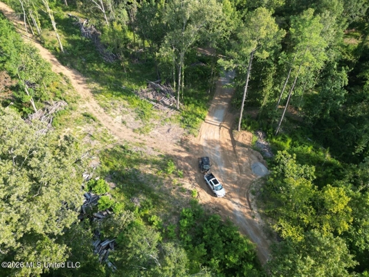 375± Acres in Jefferson County, MS Near Natchez Trace