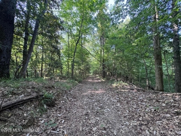 Listing 29