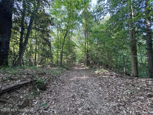 375± Acres in Jefferson County, MS Near Natchez Trace