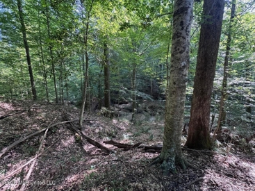 Listing 29