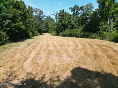 375± Acres in Jefferson County, MS Near Natchez Trace - image 1