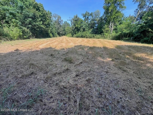 375± Acres in Jefferson County, MS Near Natchez Trace