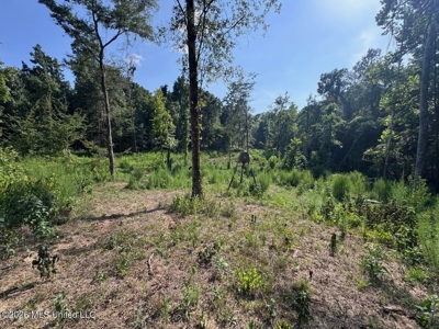 375± Acres in Jefferson County, MS Near Natchez Trace - image 24