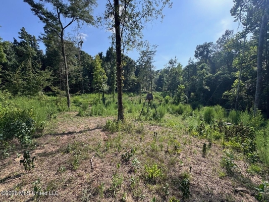 375± Acres in Jefferson County, MS Near Natchez Trace