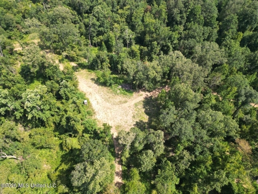 375± Acres in Jefferson County, MS Near Natchez Trace