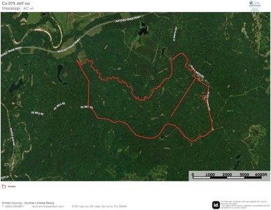375± Acres in Jefferson County, MS Near Natchez Trace - image 47