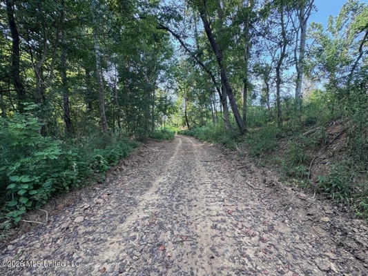 375± Acres in Jefferson County, MS Near Natchez Trace