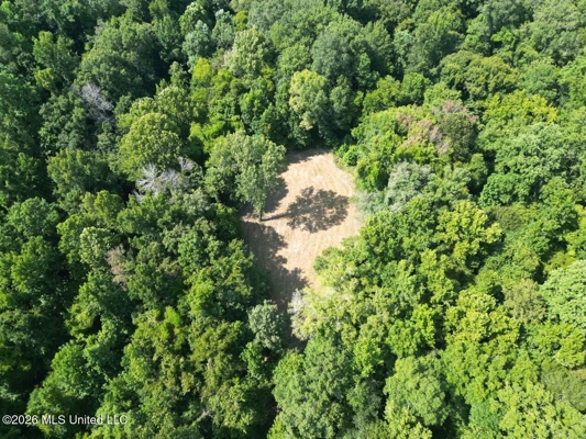 375± Acres in Jefferson County, MS Near Natchez Trace