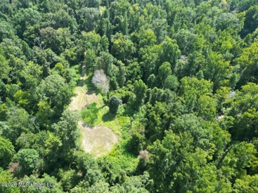 Listing 29