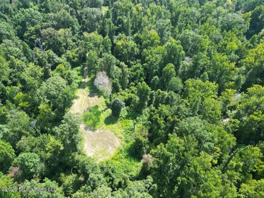 375± Acres in Jefferson County, MS Near Natchez Trace