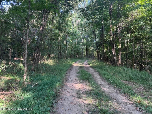375± Acres in Jefferson County, MS Near Natchez Trace