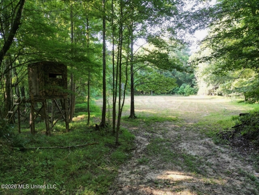 375± Acres in Jefferson County, MS Near Natchez Trace